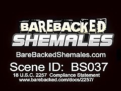 Shemale With Big Tits Fucks Fetish Guy 2